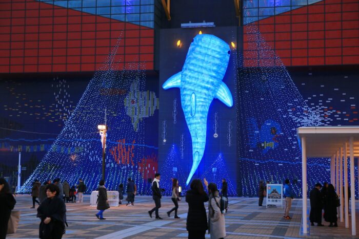 日本旅遊景點大阪海遊館