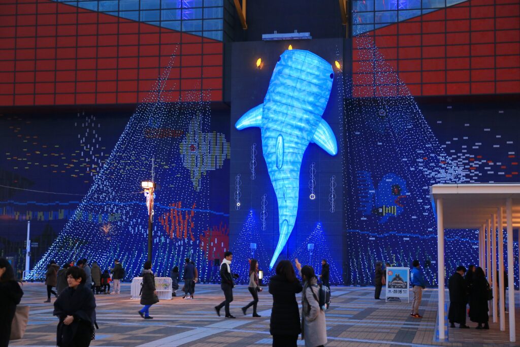 日本旅遊景點大阪海遊館