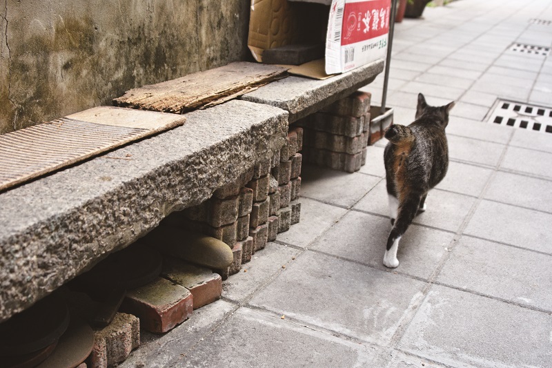 台南景點 ,壓艙石條