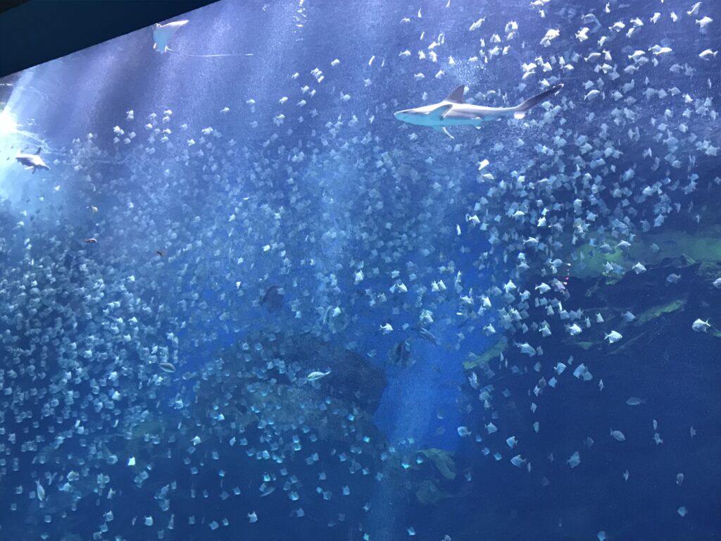 Xpark第一展區：福爾摩沙