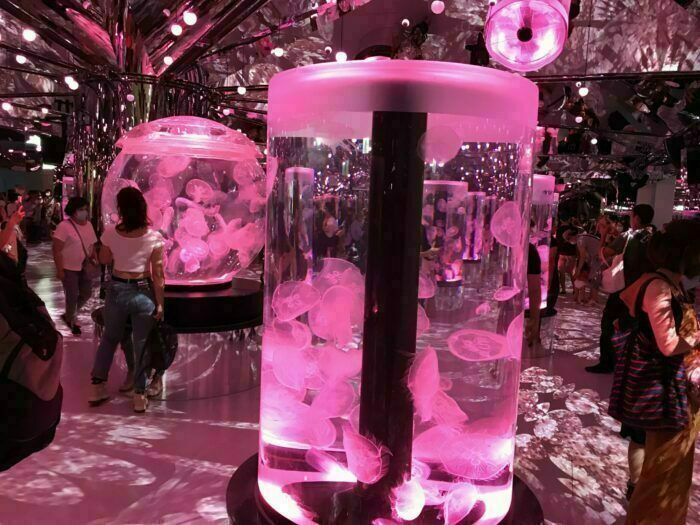 Xpark 展區：癒見水母區萬花筒