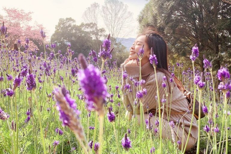 薰衣草景點top6 最優雅的紫色花海來這裡看 Gomaji夠麻吉