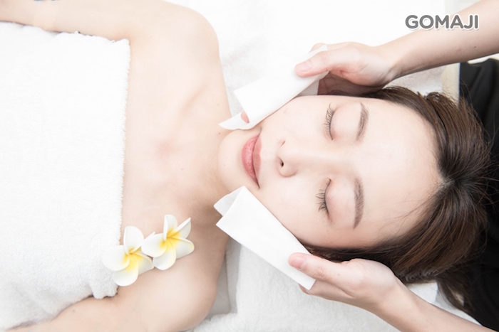 薇夏女王方案