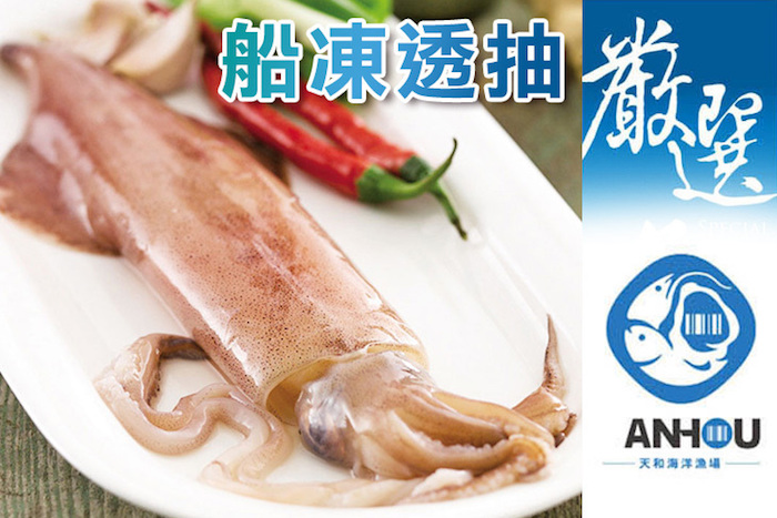 船凍透抽