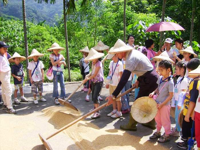 農場體驗