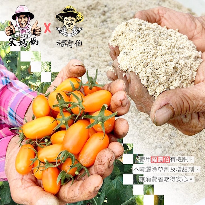 【宋媽媽x福壽伯】高雄美濃橙蜜香小番茄