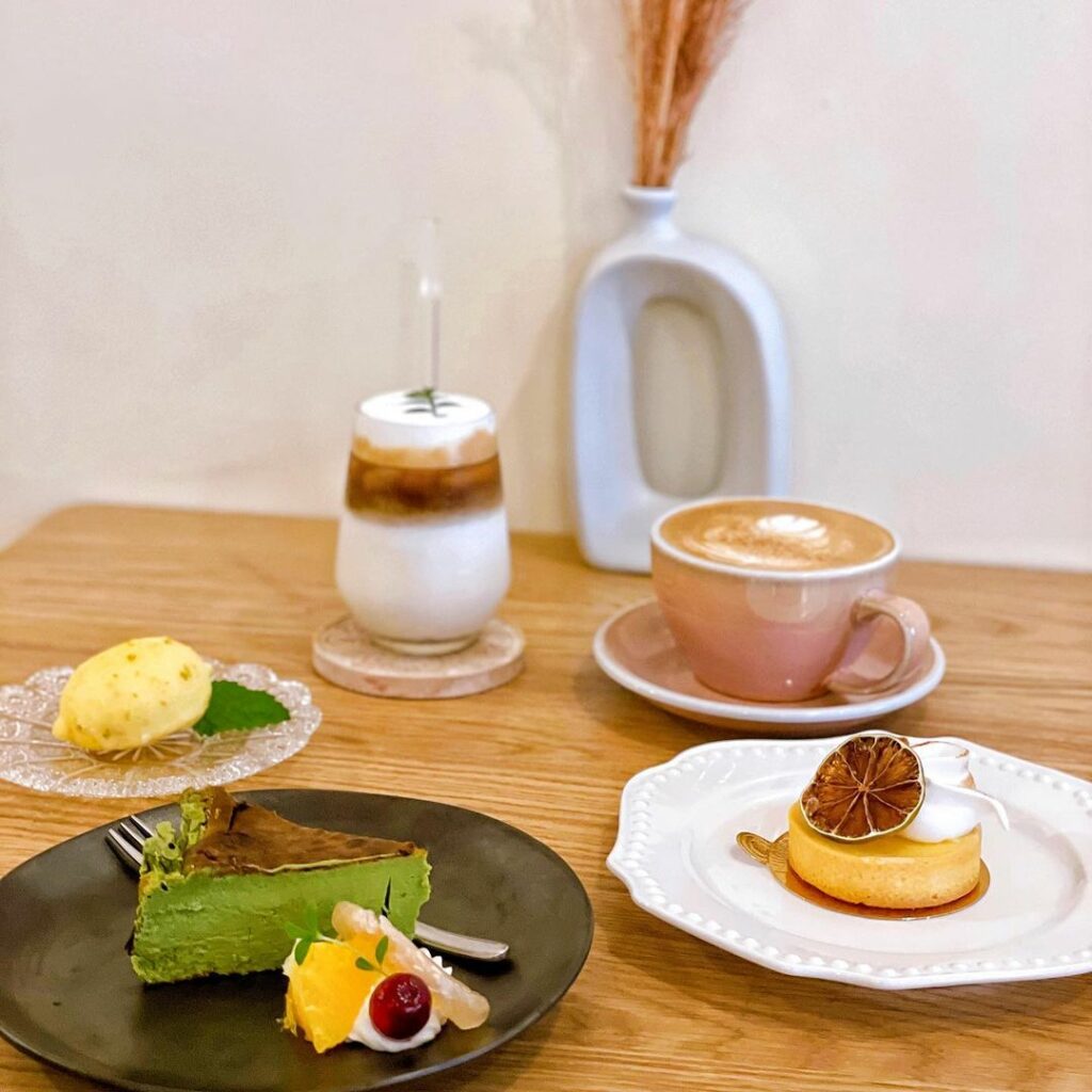 杉杉來茈