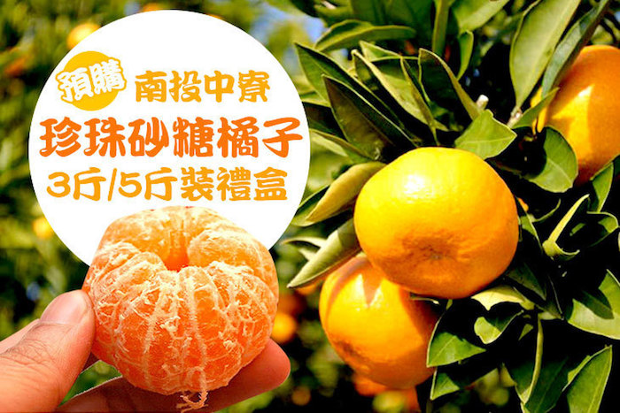 南投中寮迷你珍珠砂糖橘子