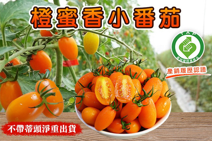 【產銷履歷】高雄美濃橙蜜香小番茄