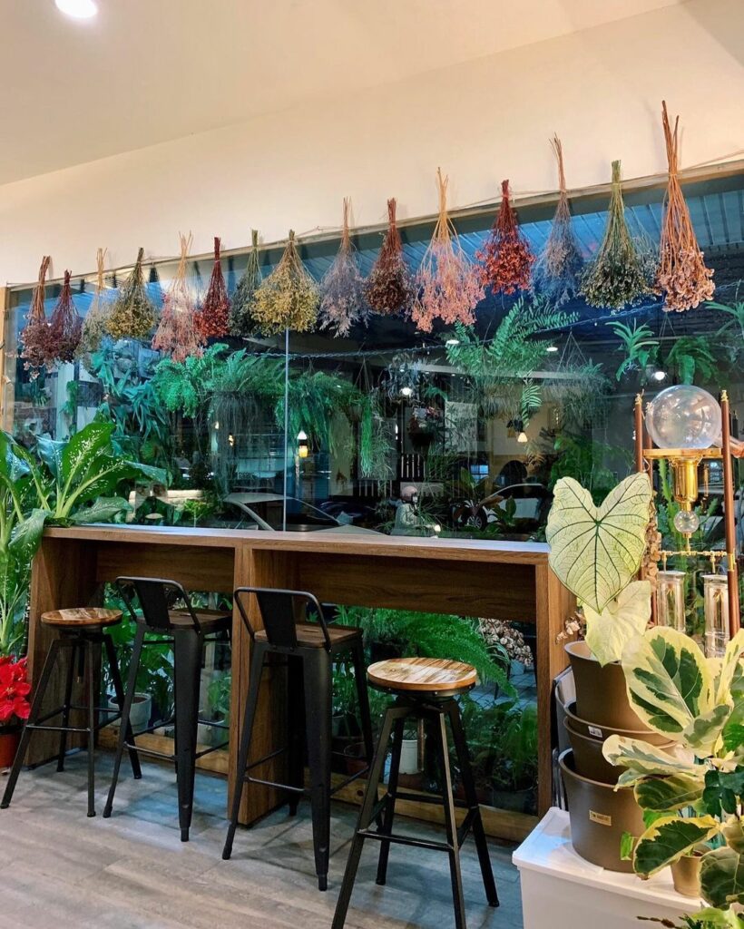 植感咖啡-BotanicalCafe