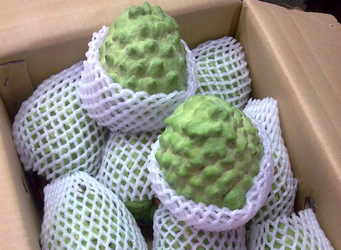【前貴果物】台東鳳梨釋迦