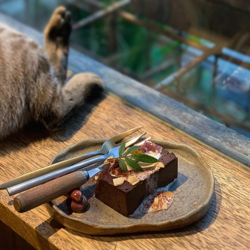 Caffe Fiore珈琲花