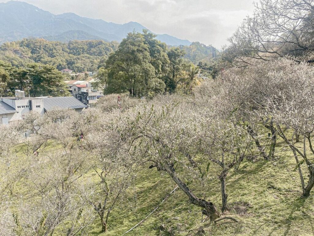梅山公園