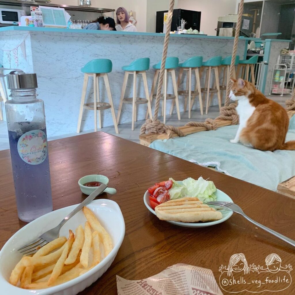 Le Chat聊夏甜品x咖啡