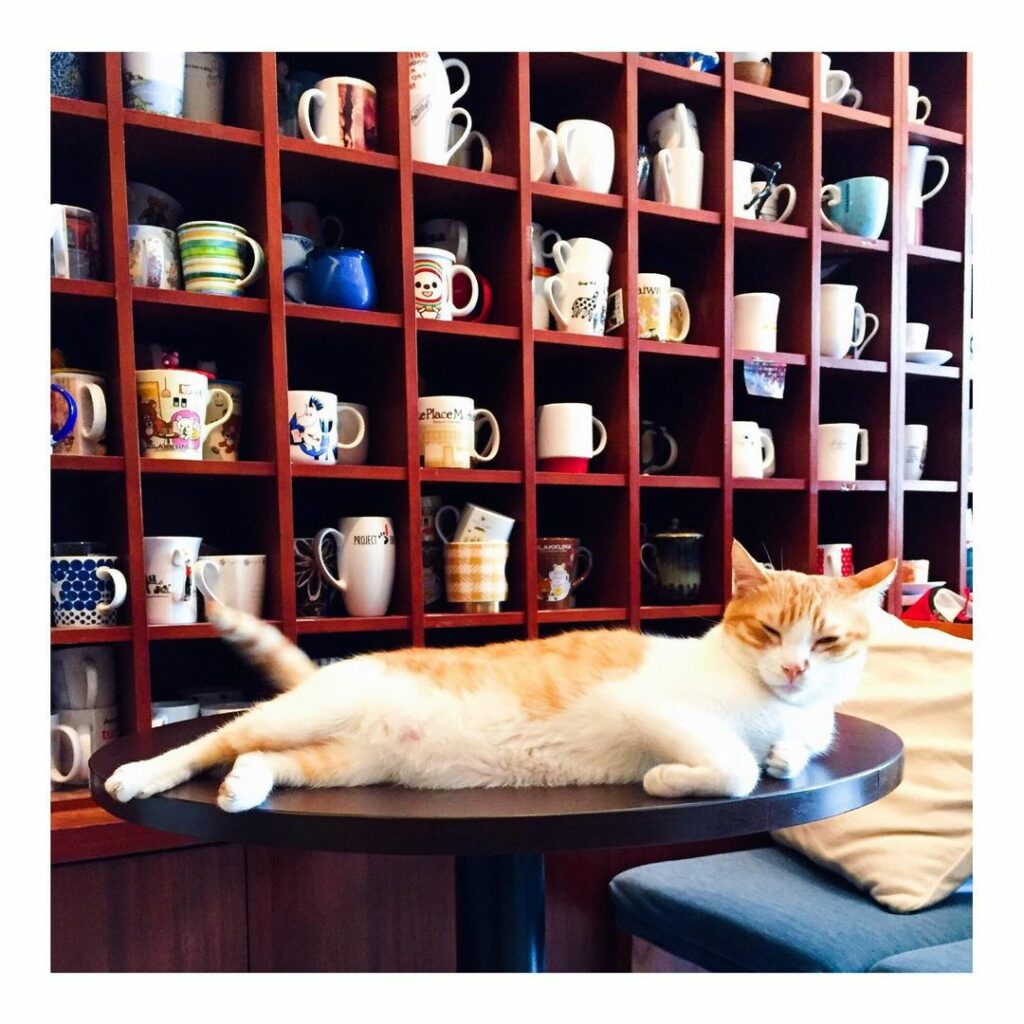 Estrella Coffee 辰星咖啡
