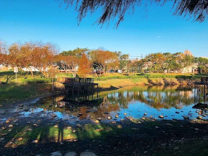 桃園1-4號生態埤塘公園