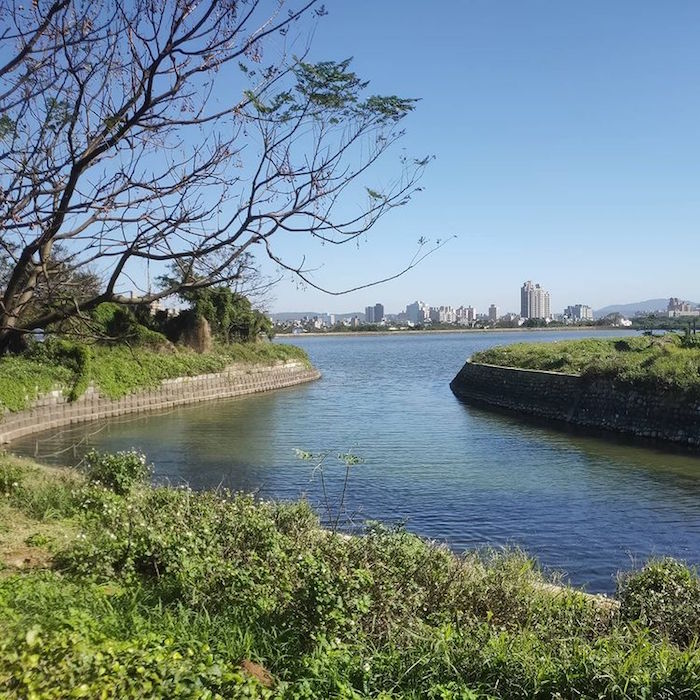 桃園1-4號生態埤塘公園