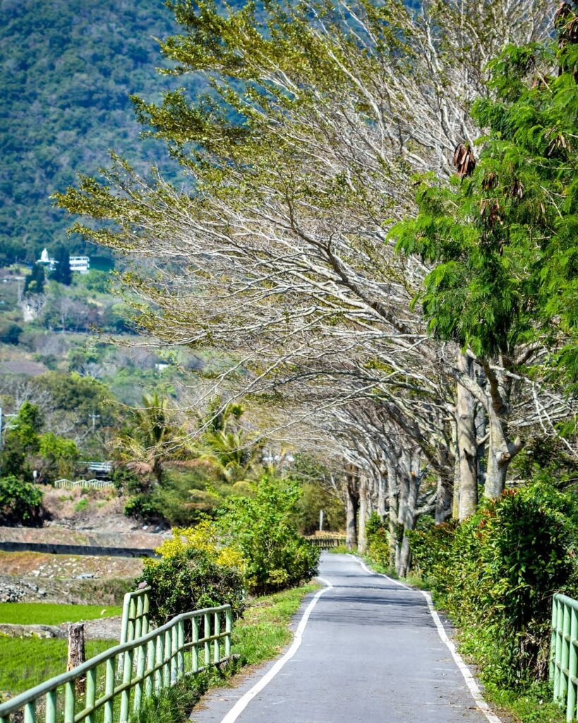 關山環鎮自行車道