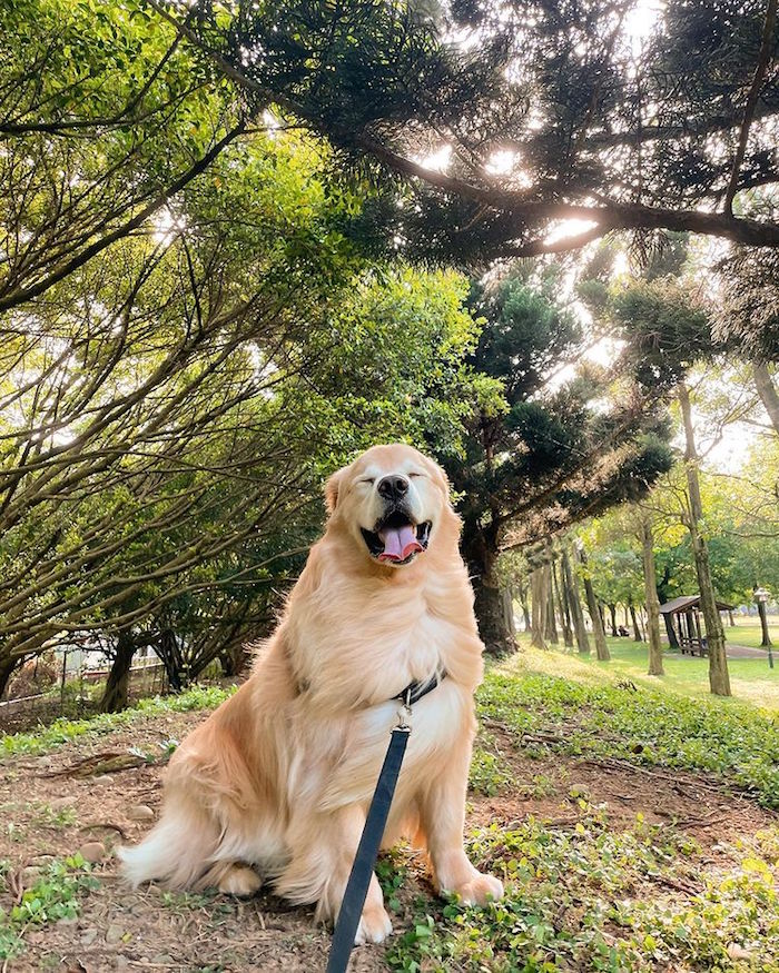 大溪埔頂公園