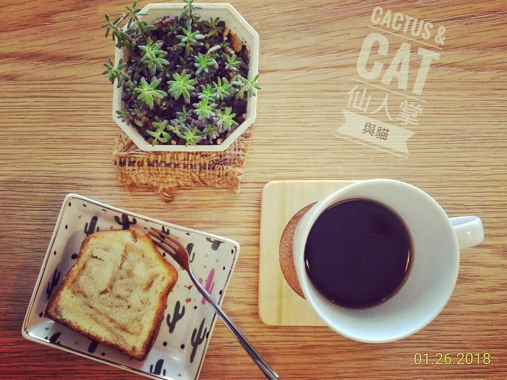 Cactus&Cat Cafe 仙人掌與貓咖啡
