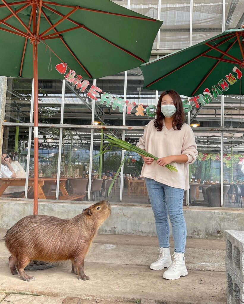 金車礁溪蘭花園