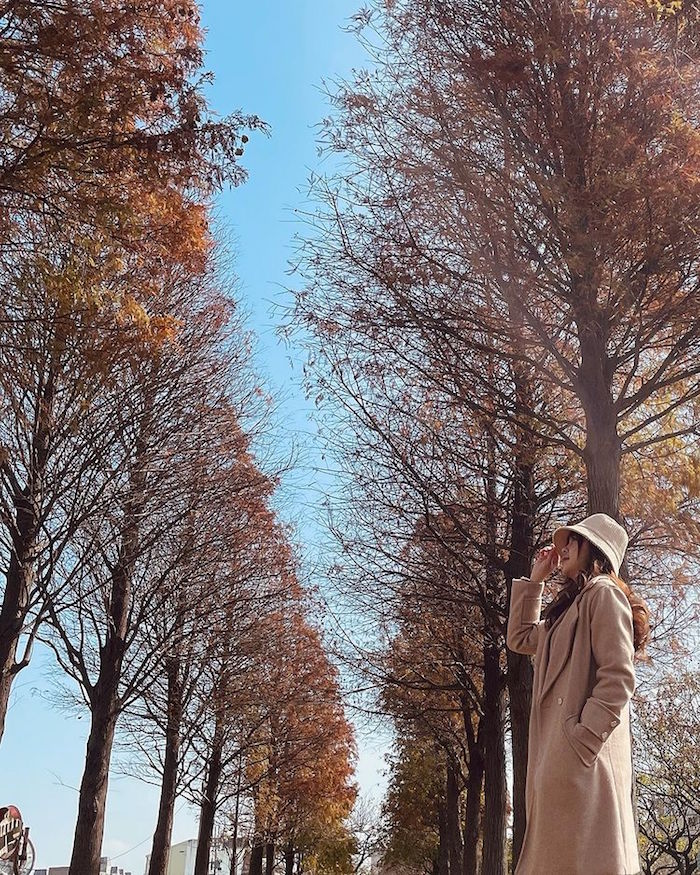 玉山公園