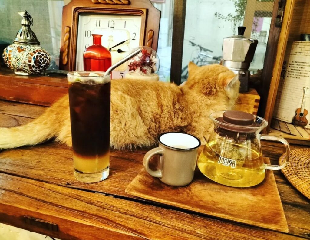 IN-COFFEE