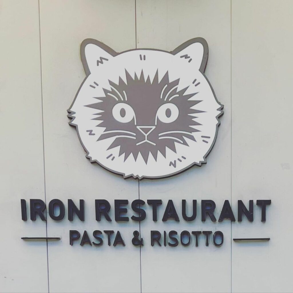 Iron-spaghetti