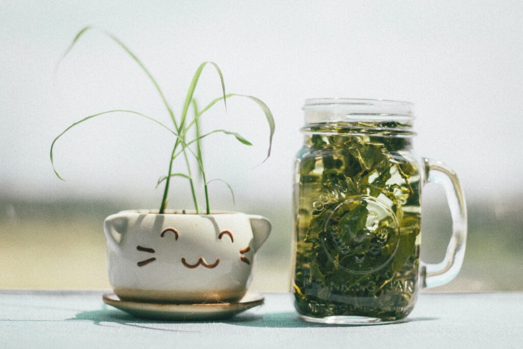 綠茶