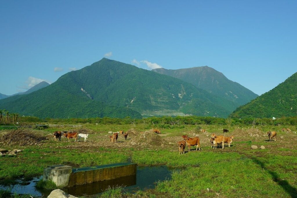 崇德瑩農場
