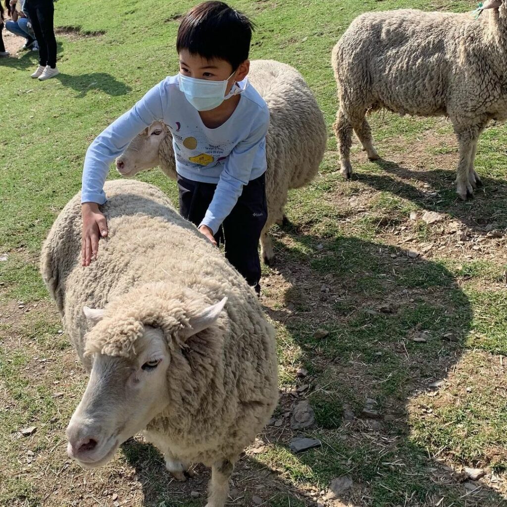 清境農場