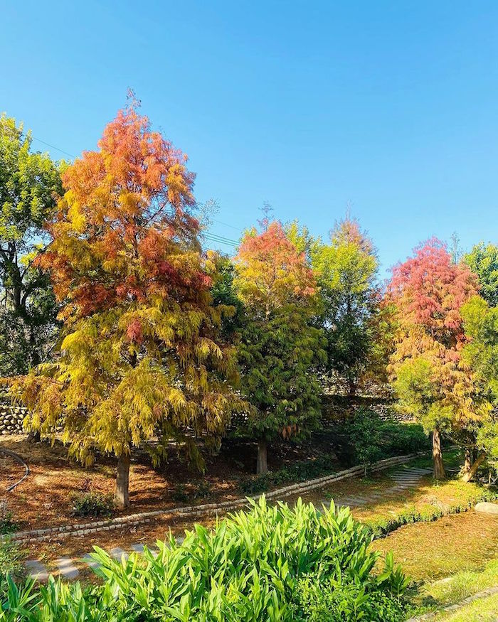 圳前仁愛公園