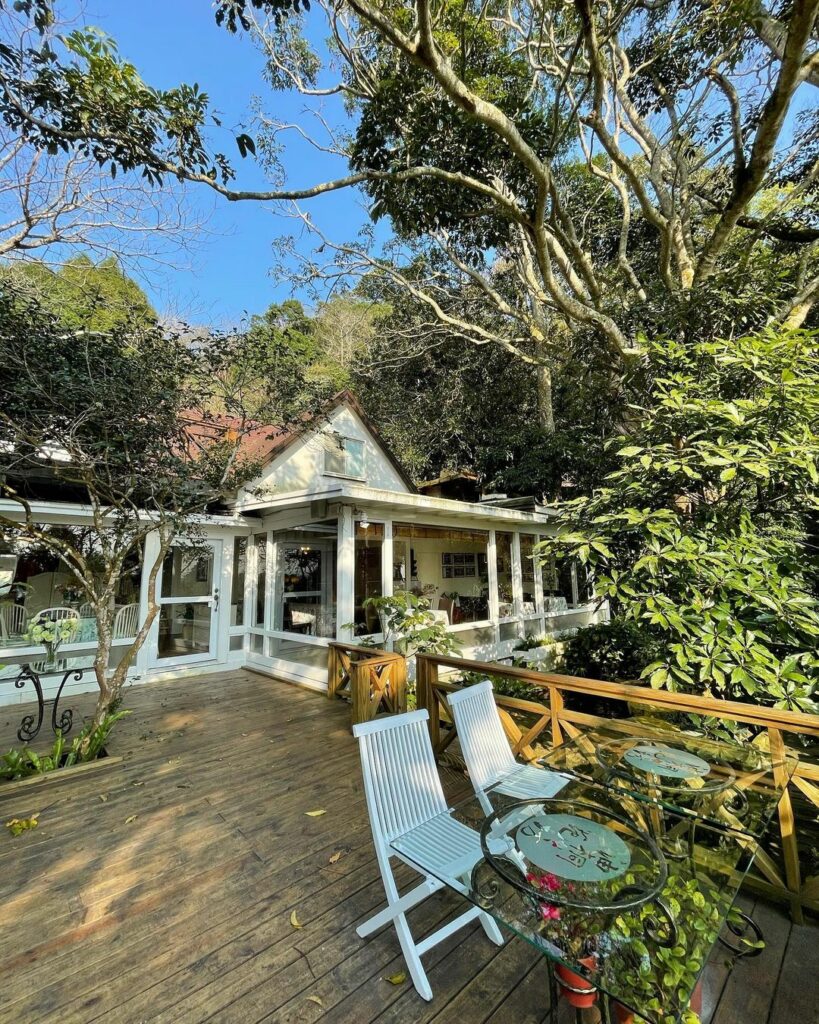 油桐花坊