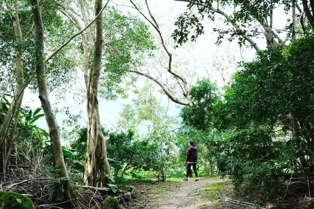 美崙山森林公園