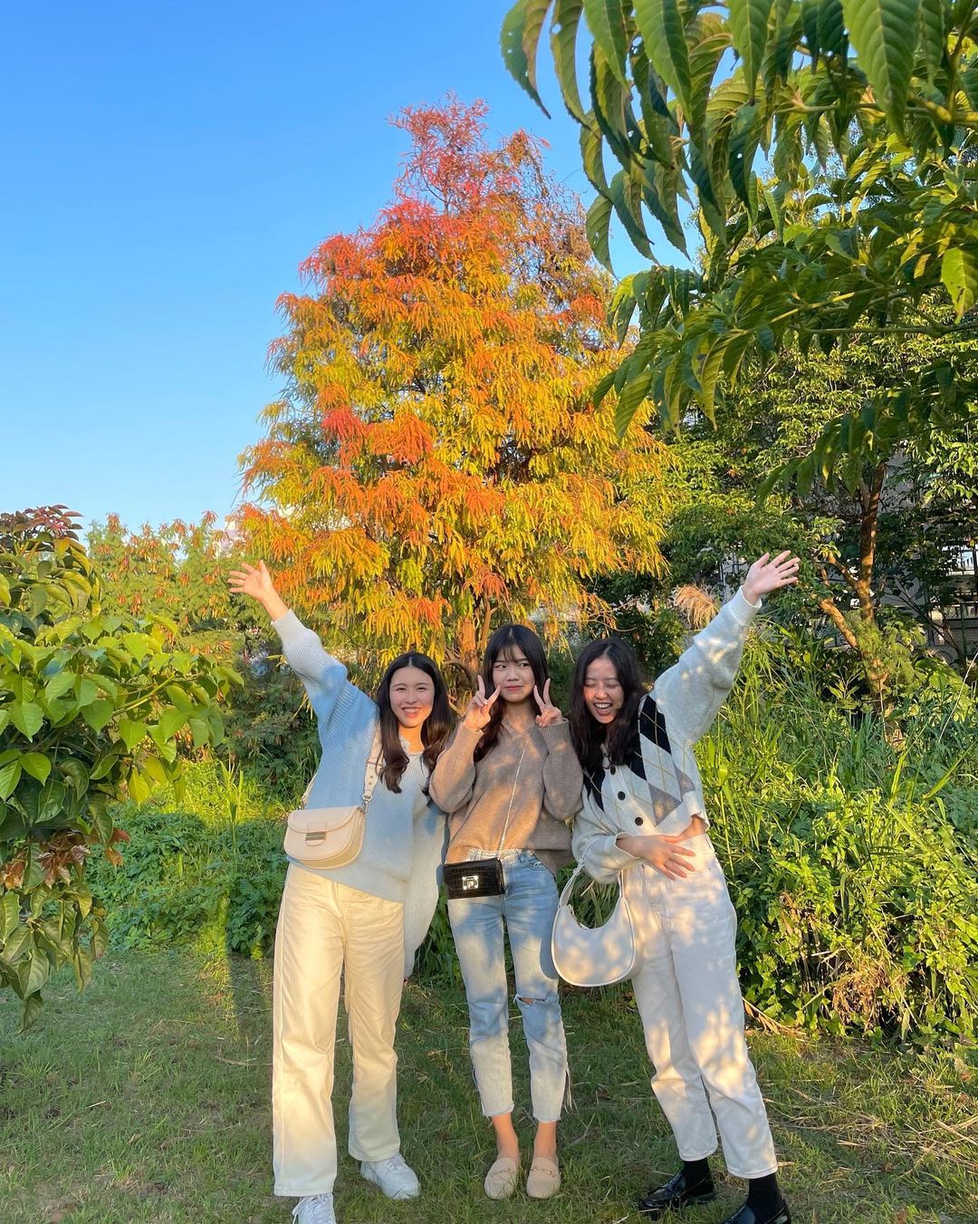 巴克禮紀念公園