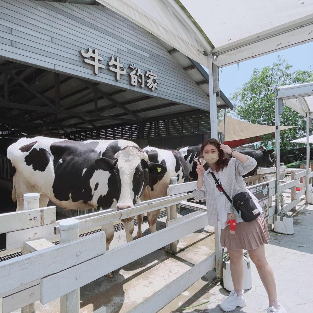 千巧谷牛樂園牧場
