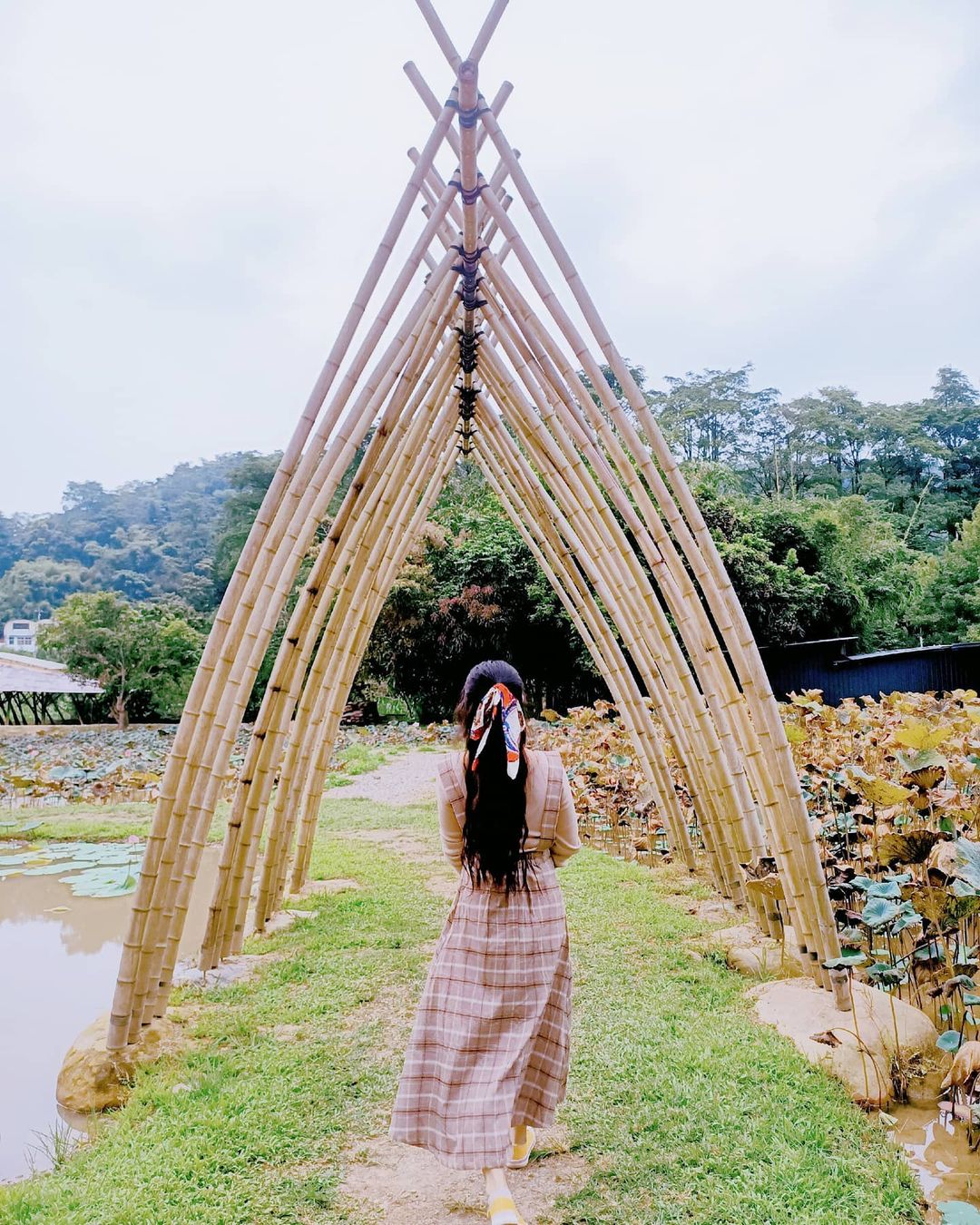 桃米生態村