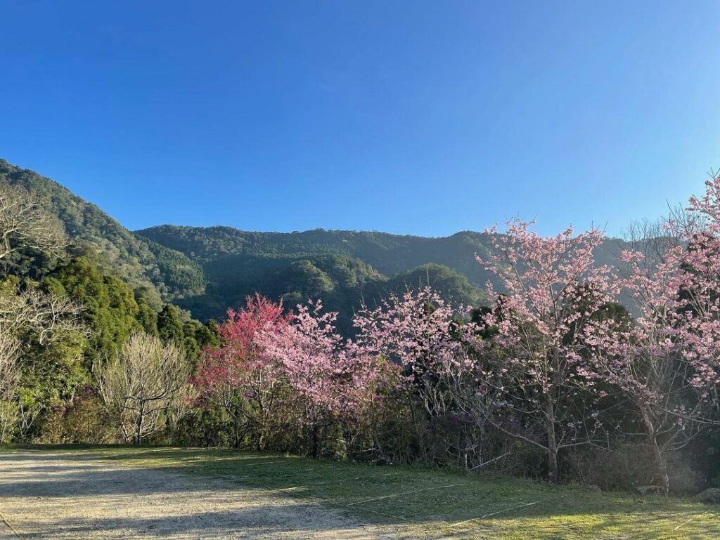 馬武督探索森林