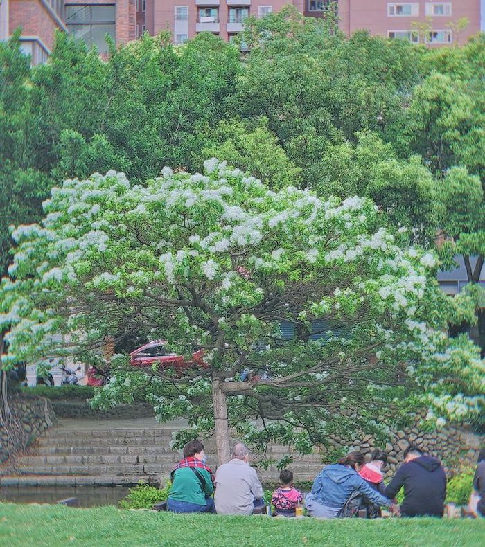新竹護城河親水公園