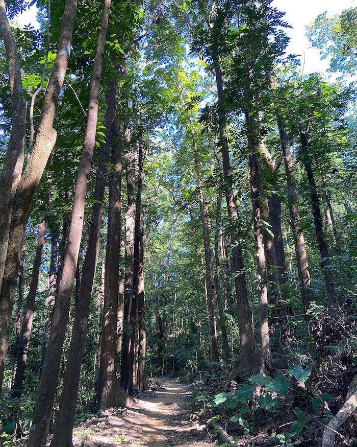 雙溪樹木園