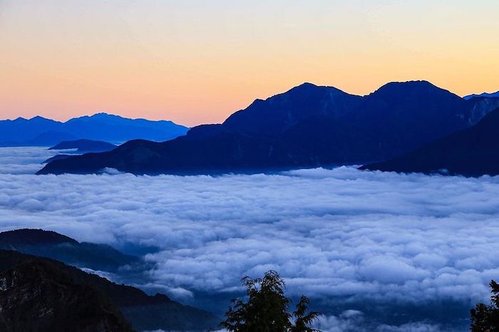 阿里山國家森林