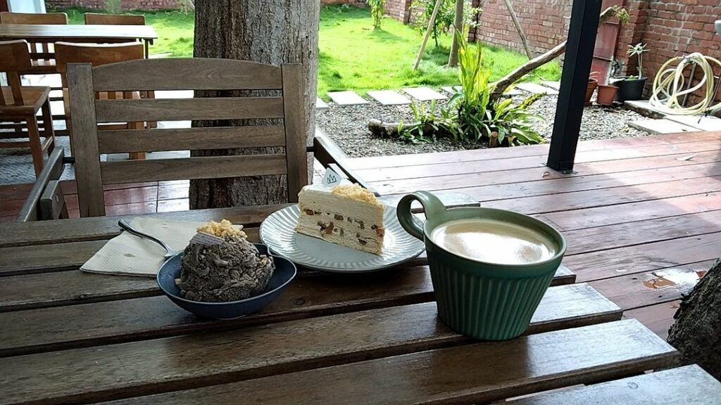 丘山茶 Hilltea