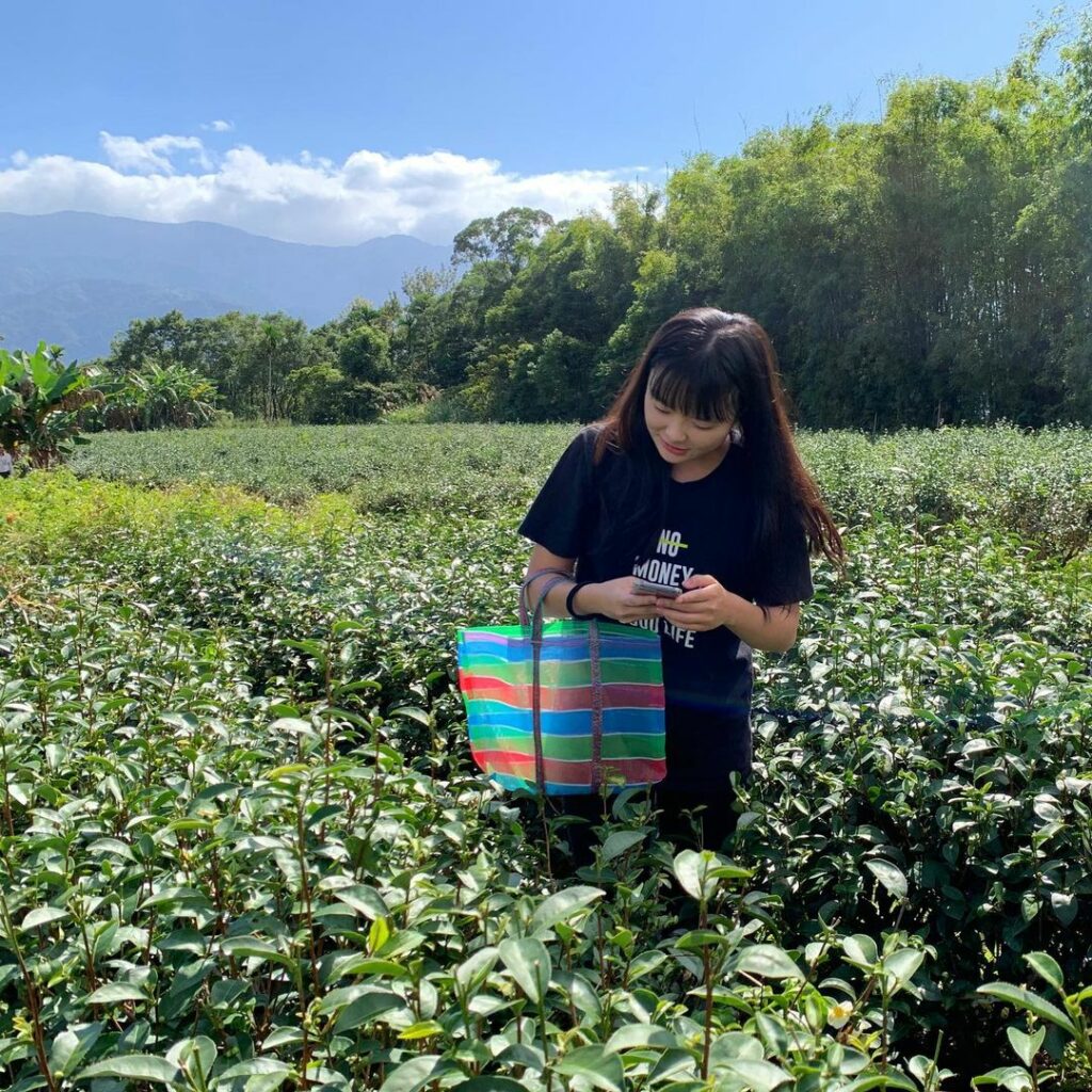 吉林茶園
