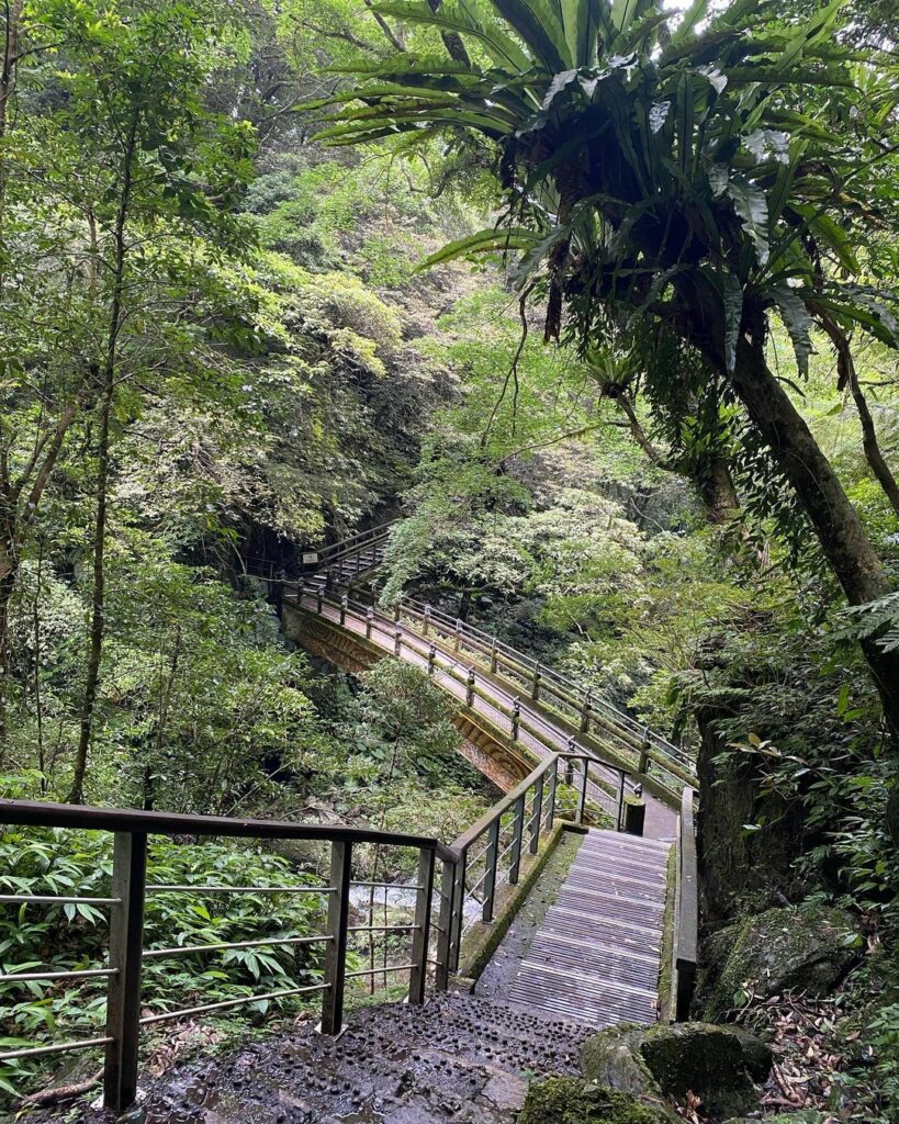 滿月圓國家森林遊樂區