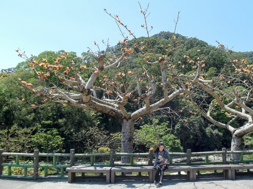 九芎湖照門休閒農業區