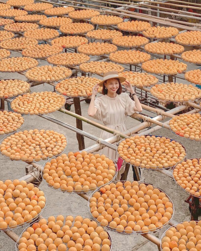 味衛佳柿餅觀光農場