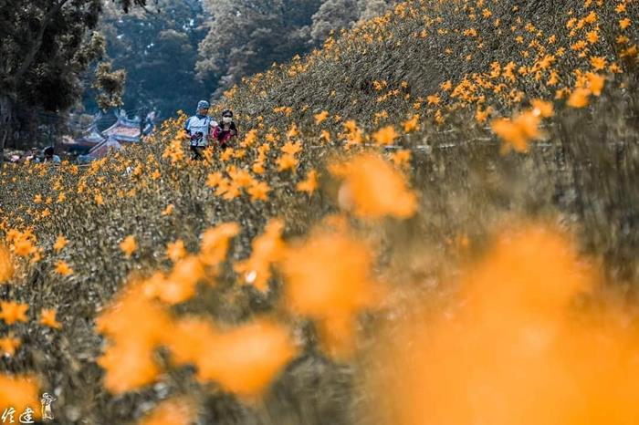 周末想來個簡單小旅行 來個花壇一日遊 八個精選提案 Gomaji夠麻吉
