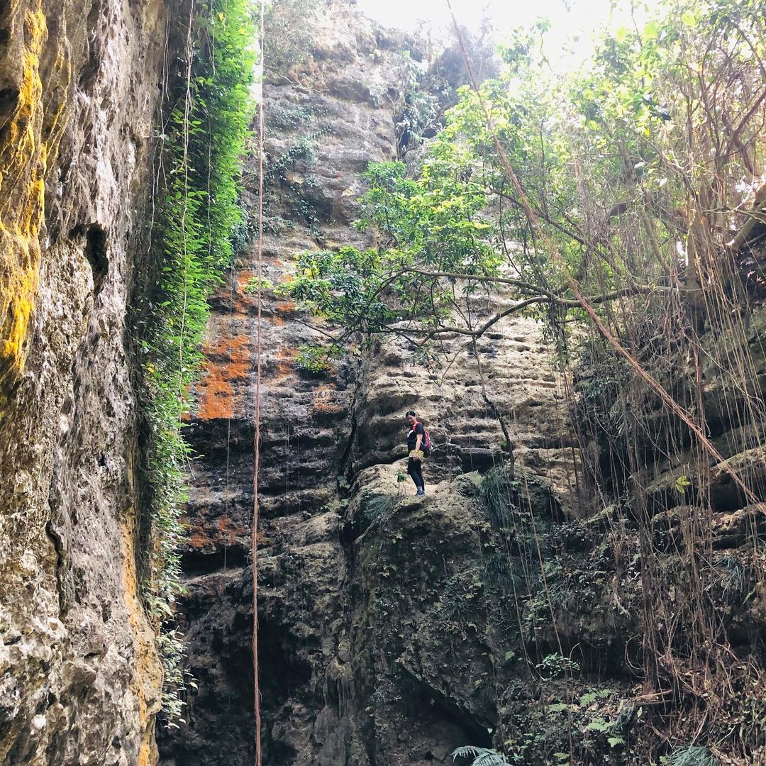 柴山小自然
