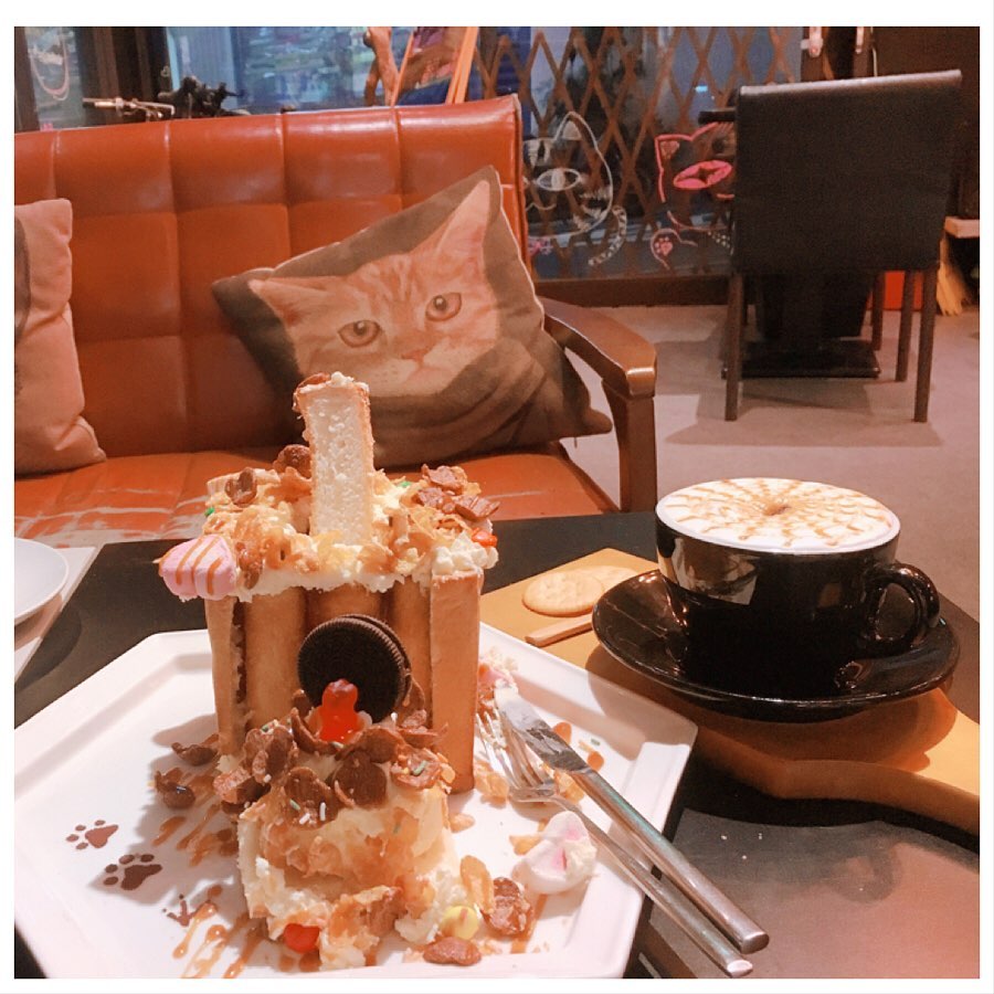 Catffee Cafe' 貓肥咖啡館