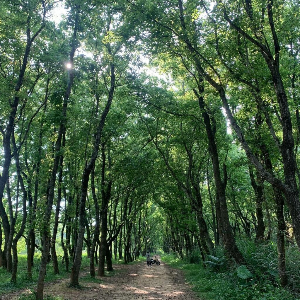 老崎古道